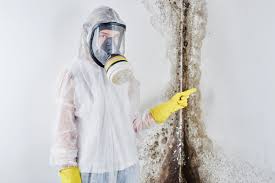 Best Attic Mold Removal in Mount Hermon, CA